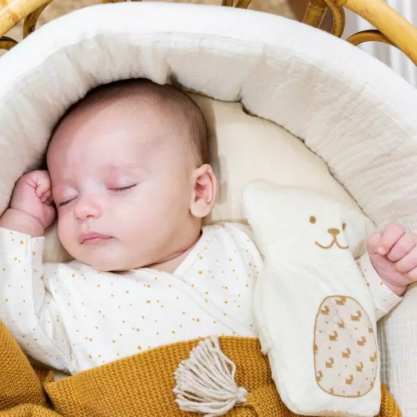 L'ourson thérapeutique